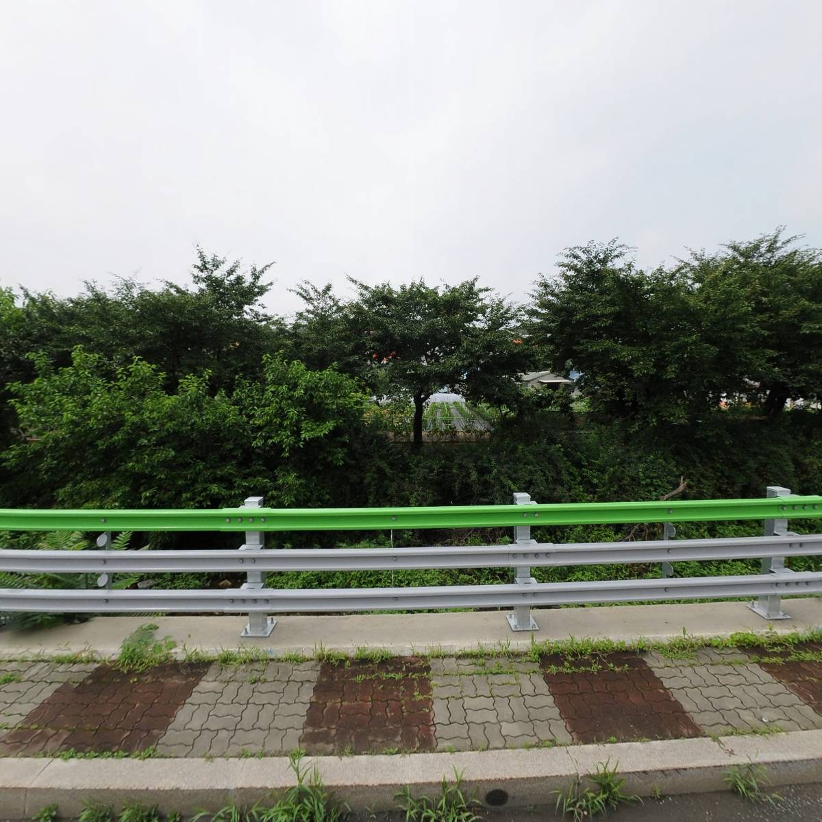 캠스월드 주식회사