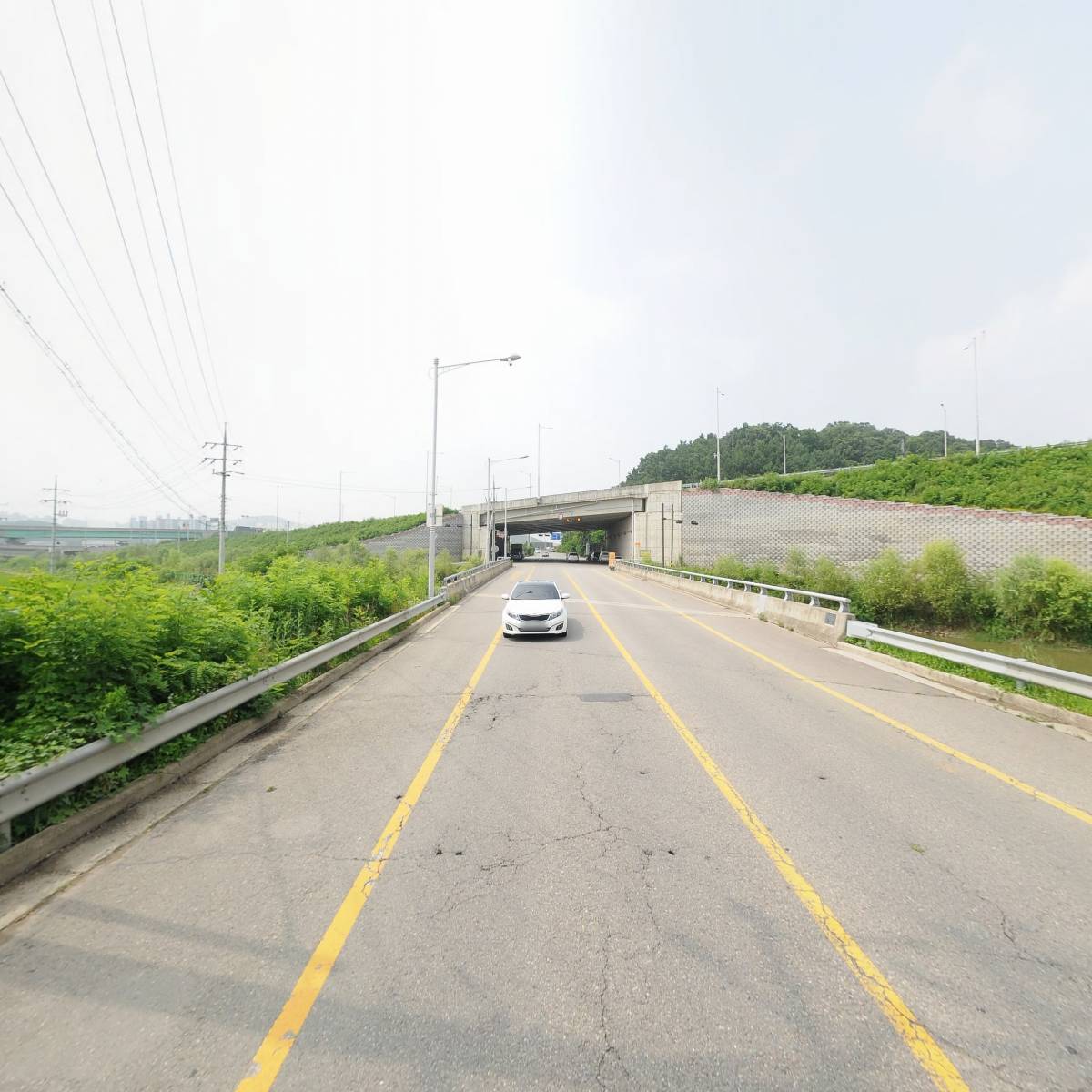 브라운페니_2