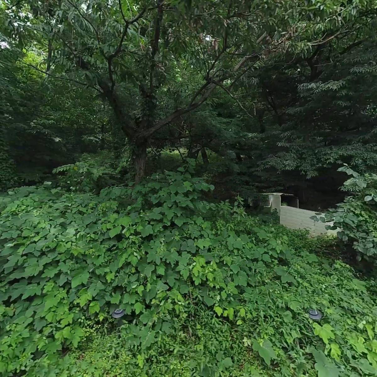 햇빛촌_3
