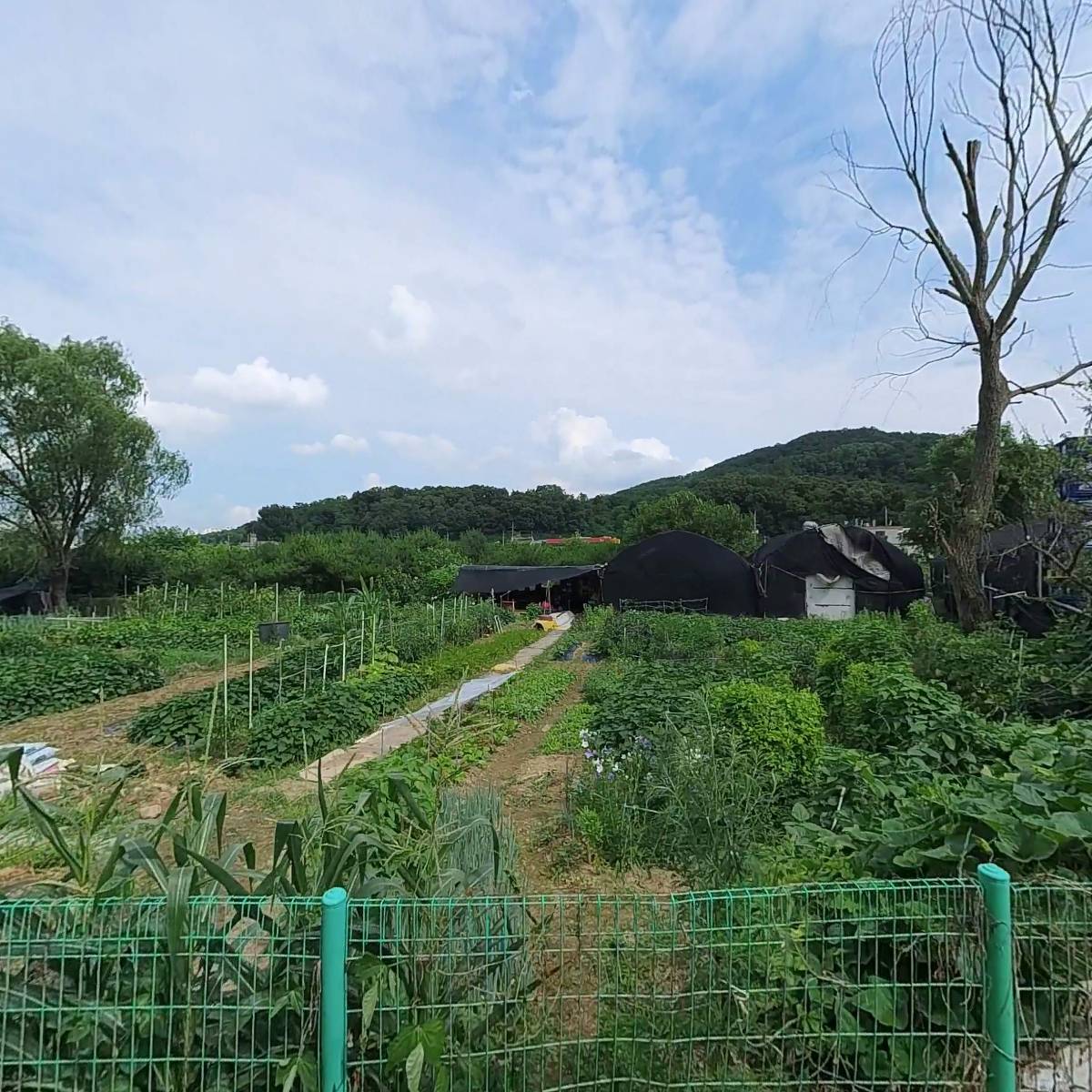 플라워팜