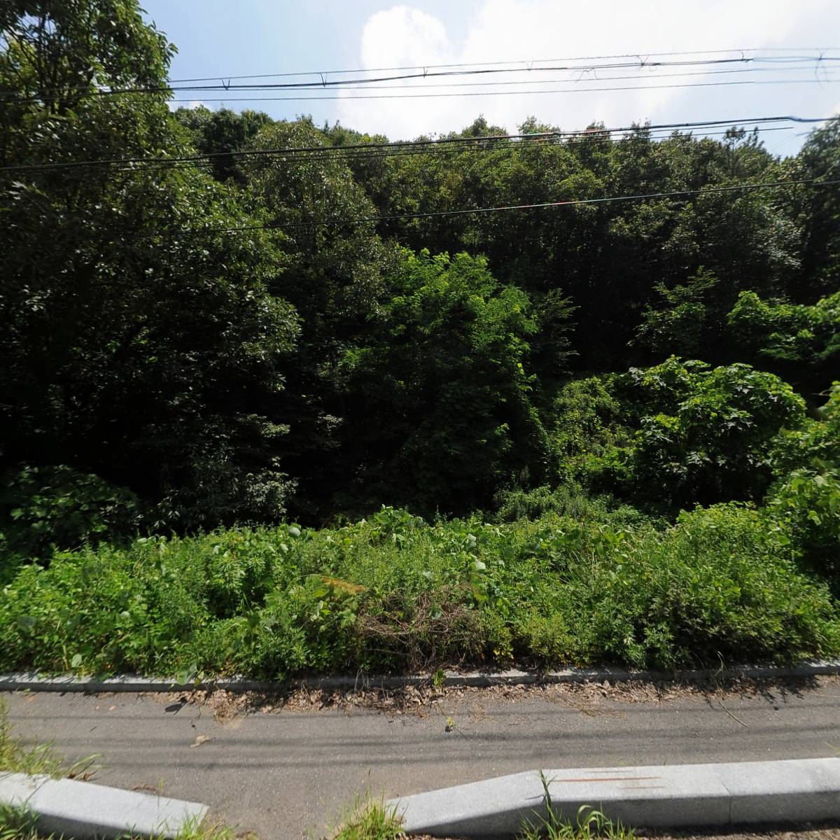(주)이룸텍