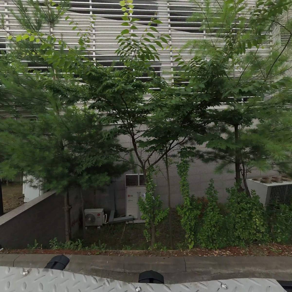 (주)성보유통호매실점
