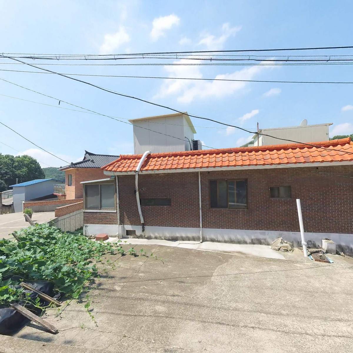 사단법인 한국무의도협회_3