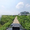 주식회사 하성마을버스_4