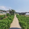 주식회사 하성마을버스_2