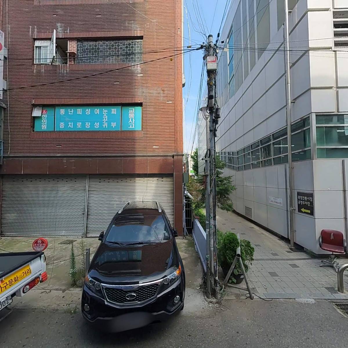 앵모닝 앵무새카페