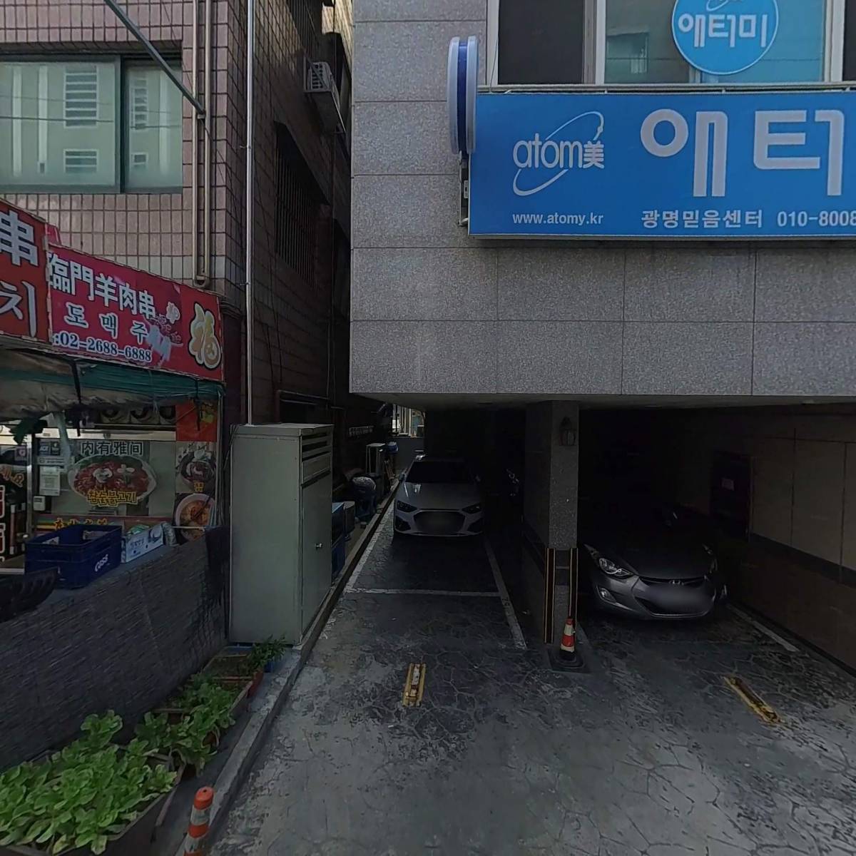 앵모닝 앵무새카페_3
