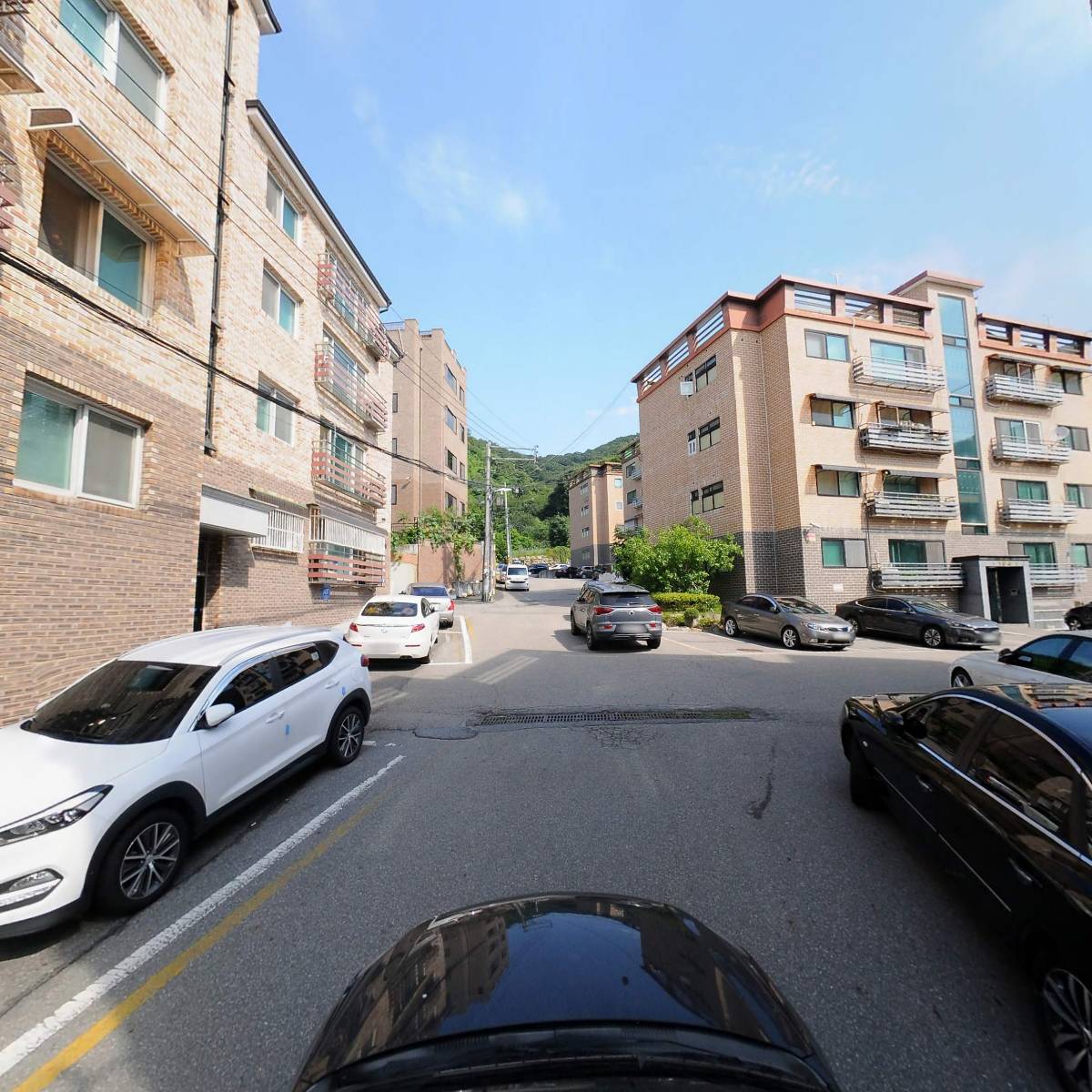 달마루_4