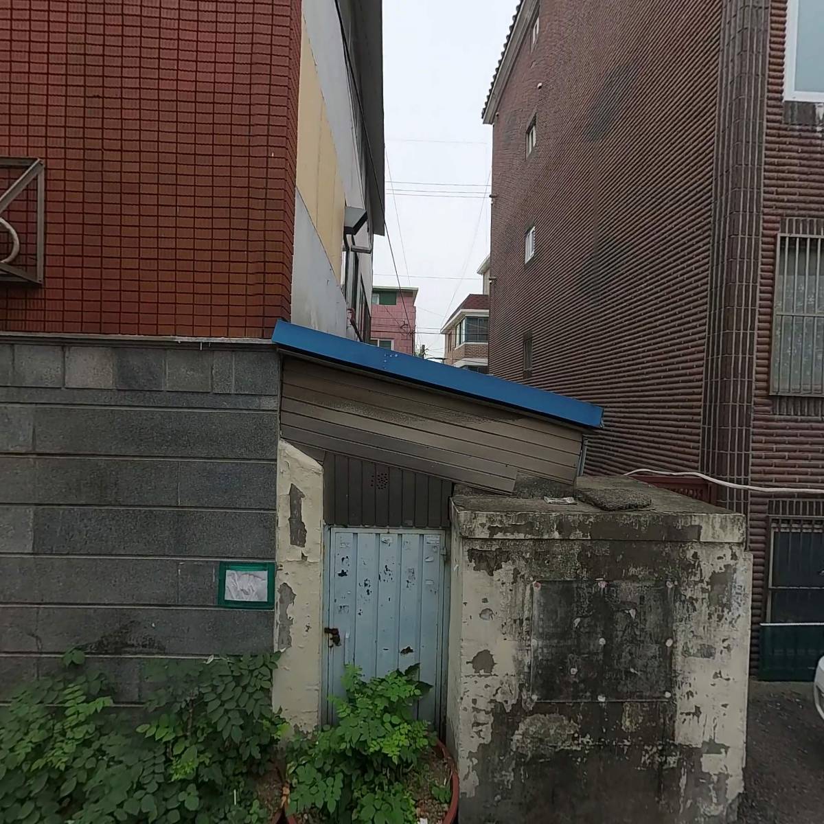 과일나라