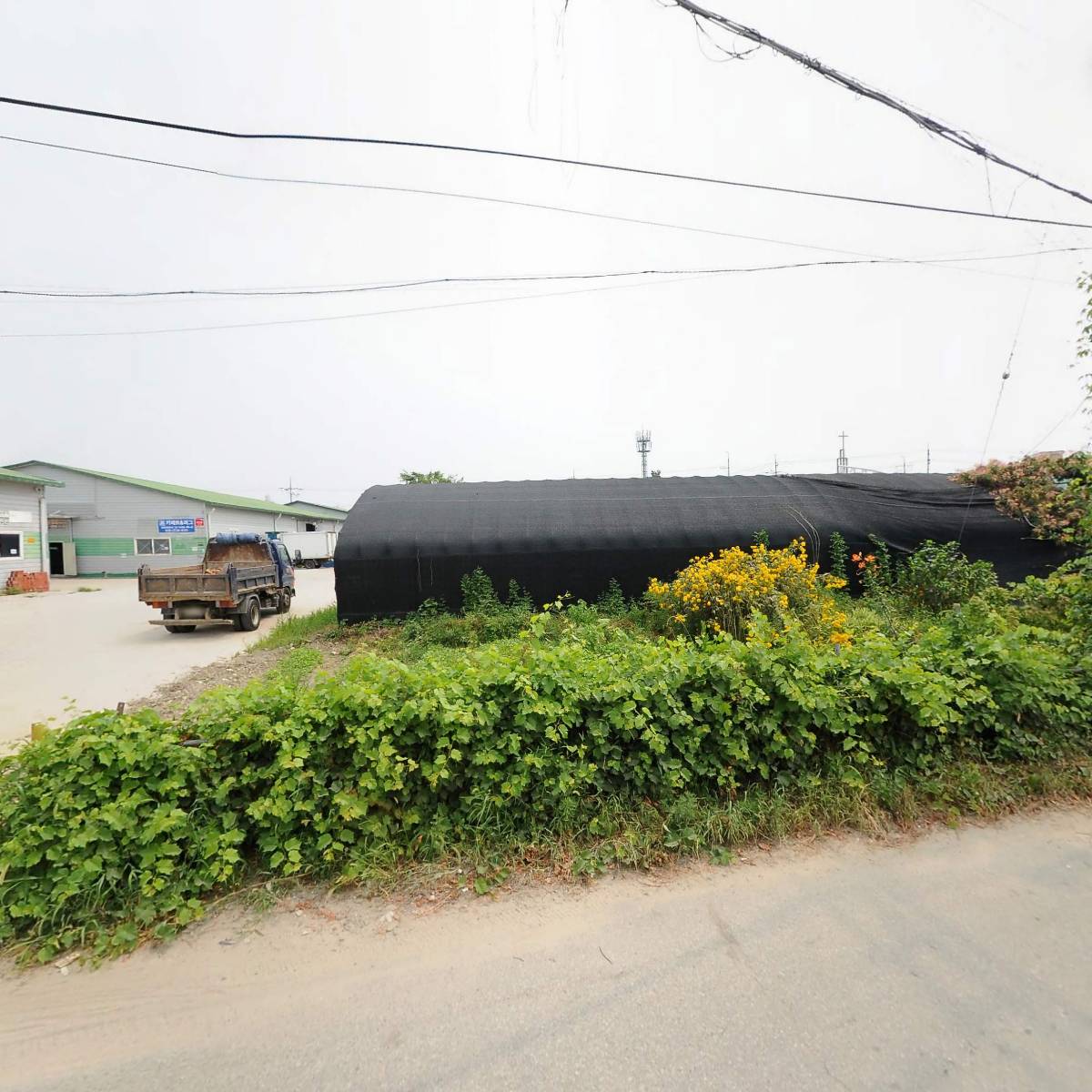 농업회사법인 코리아팜(주)