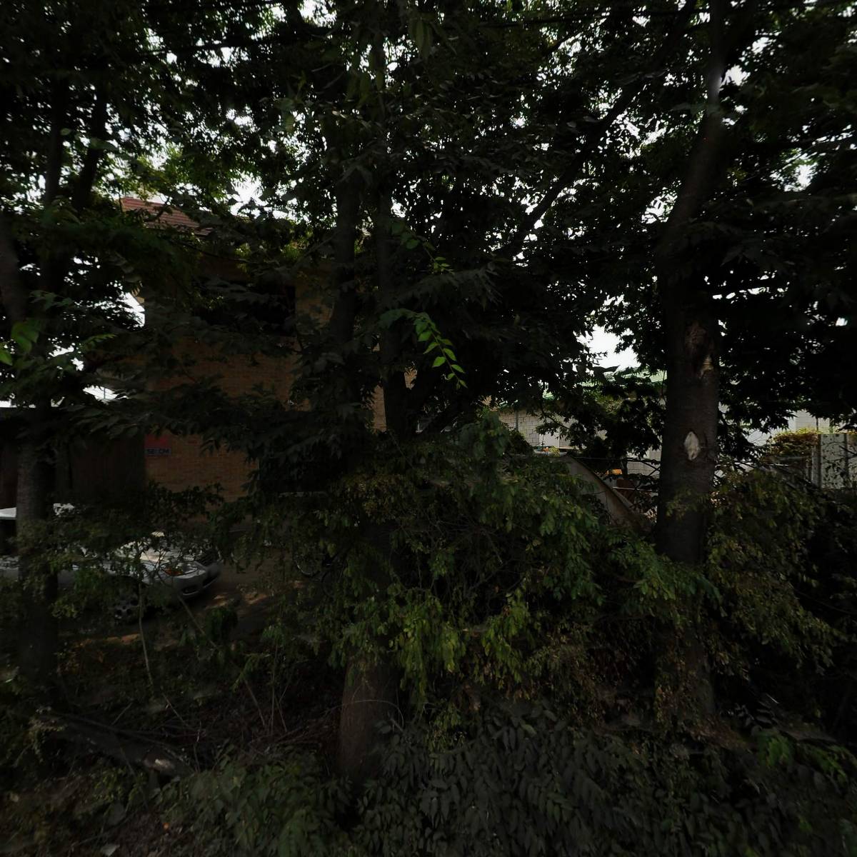 서주아이스크림_3