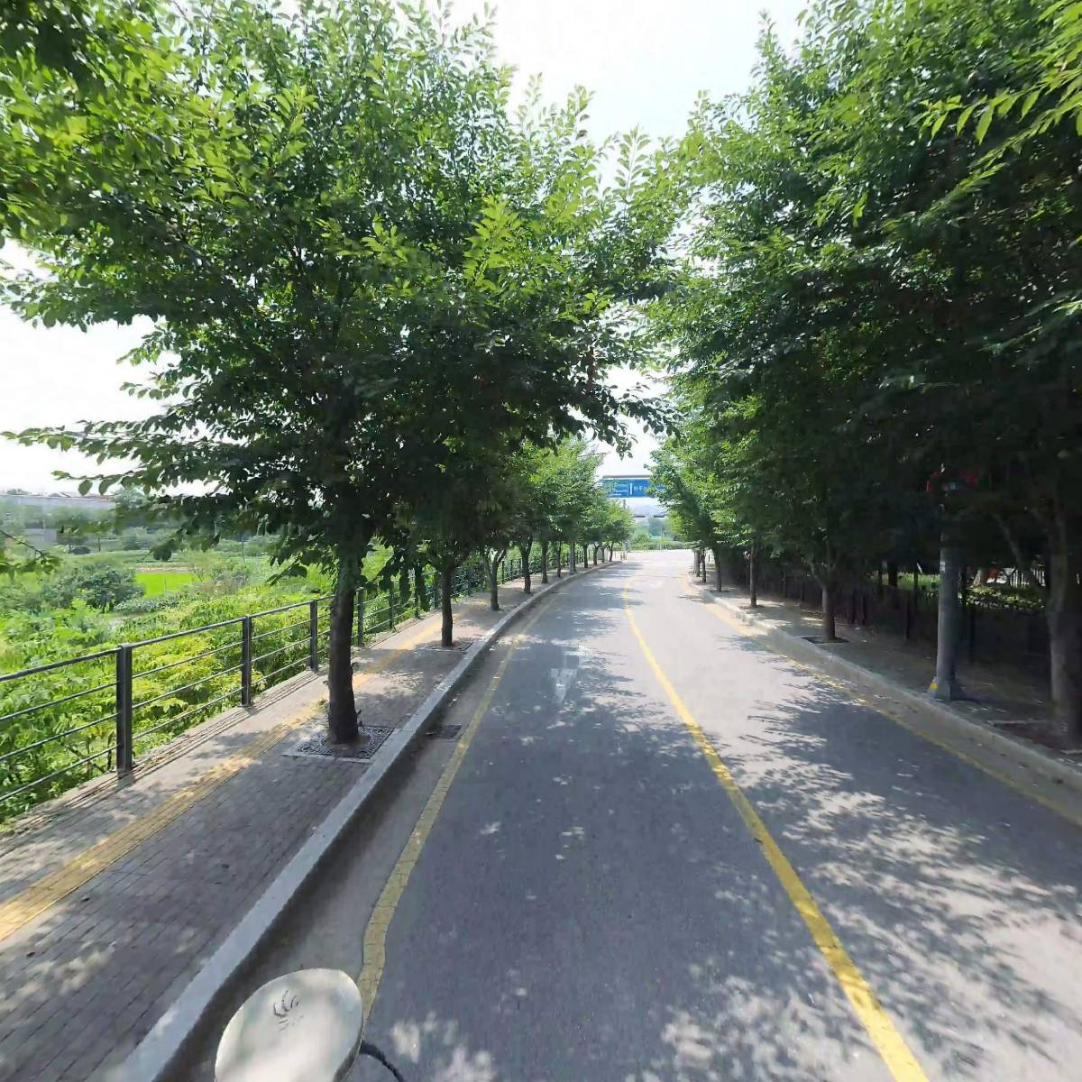 또롱별_2