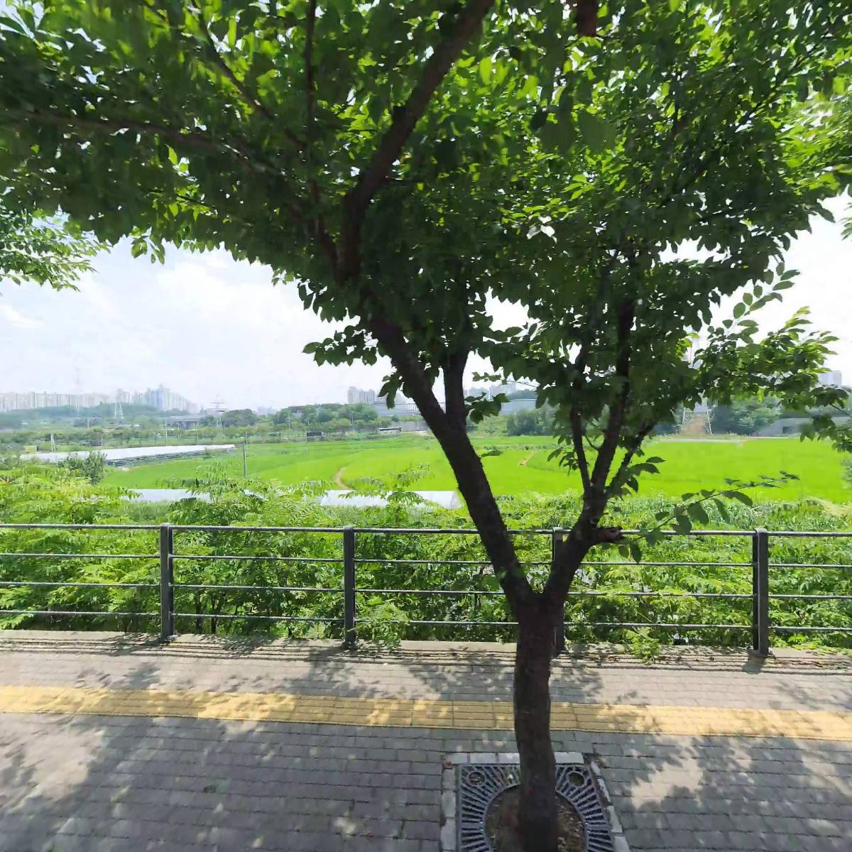 또롱별