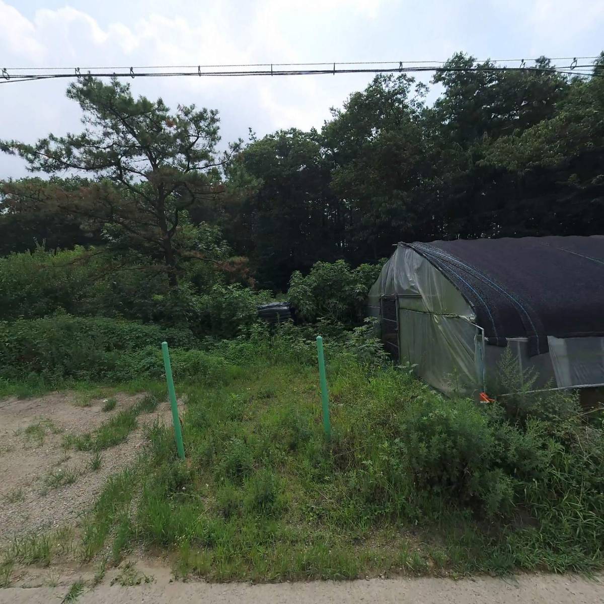 주식회사 넬라켐