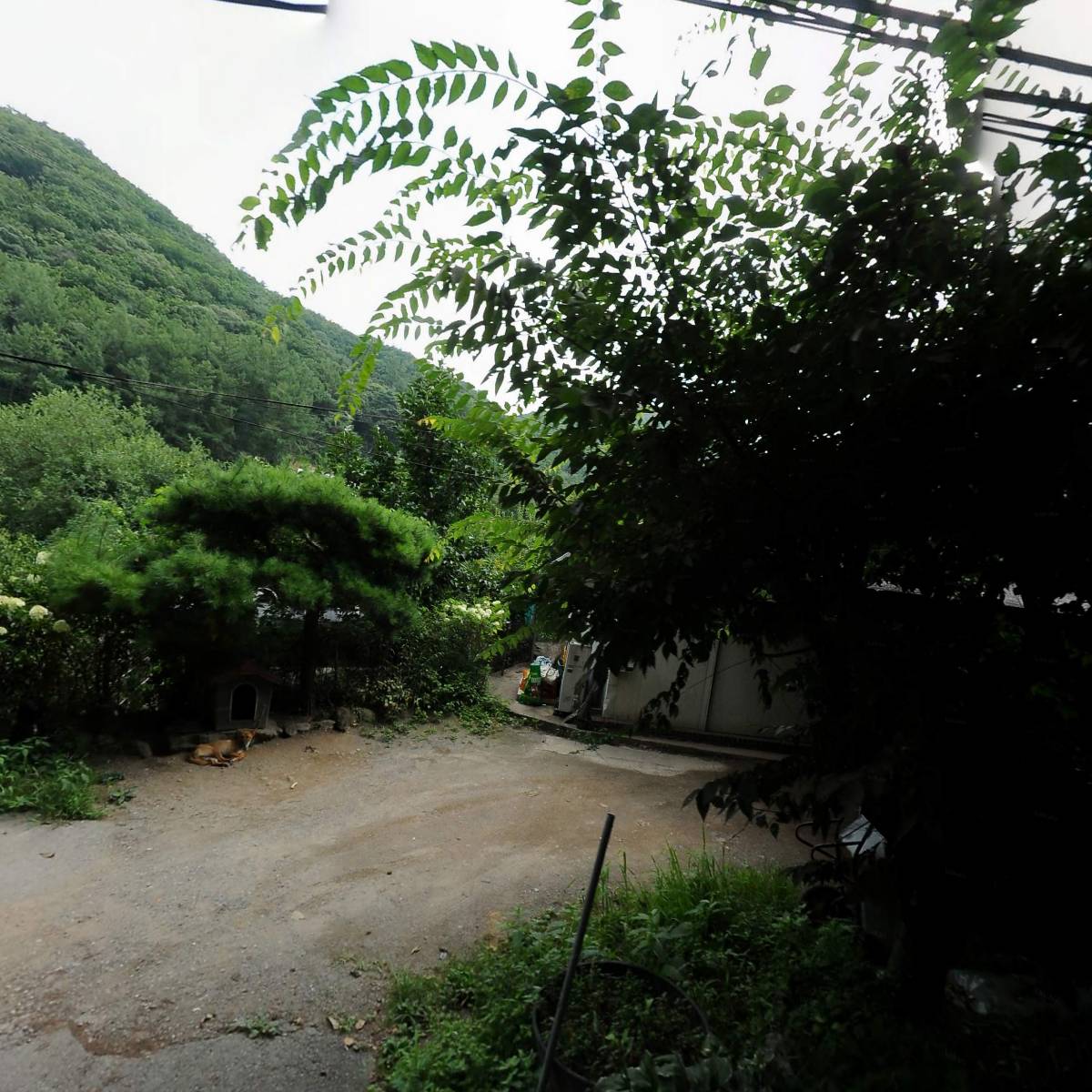 산내들육종원(연구소)_3