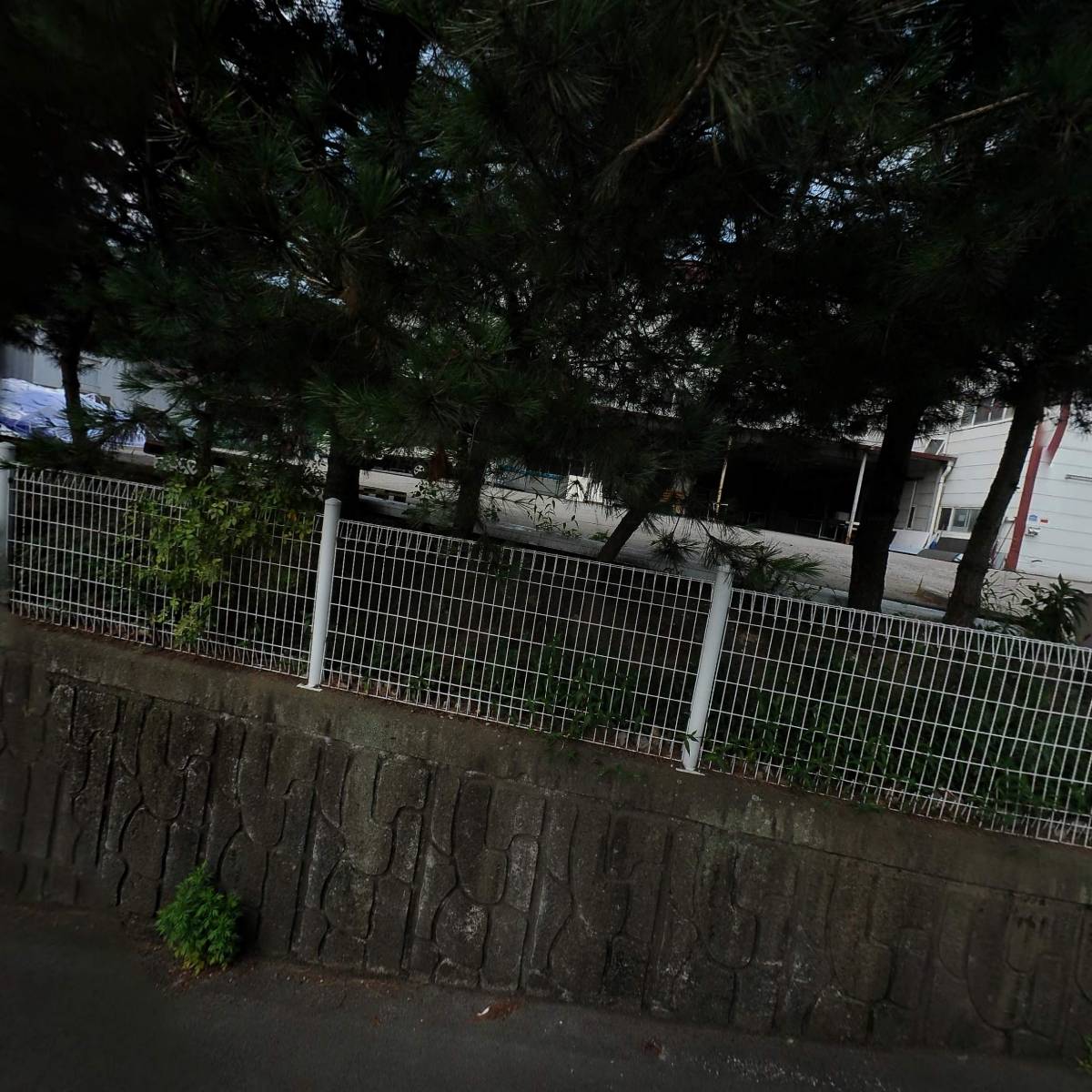 씨씨민트CCMinT_3