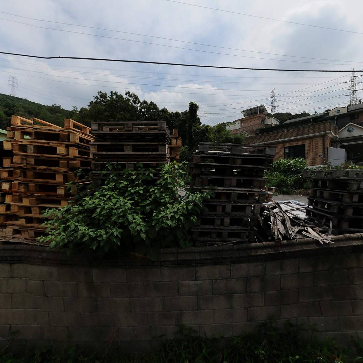 주식회사 사조대림 식자재사업부 하남지점_3