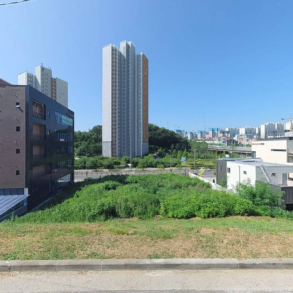보리밭사이길로