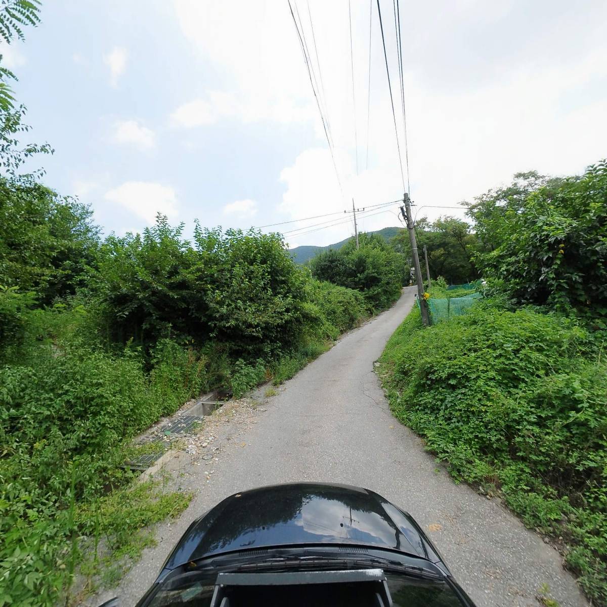 대신종합냉장_4