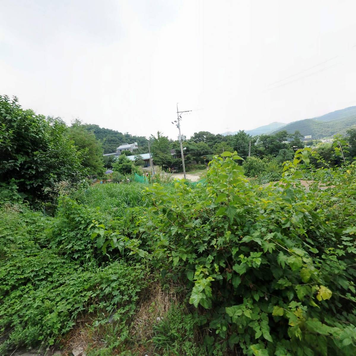 대신종합냉장