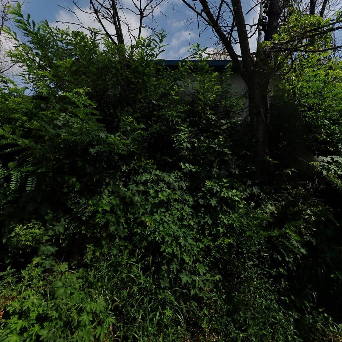 태화섬유_3