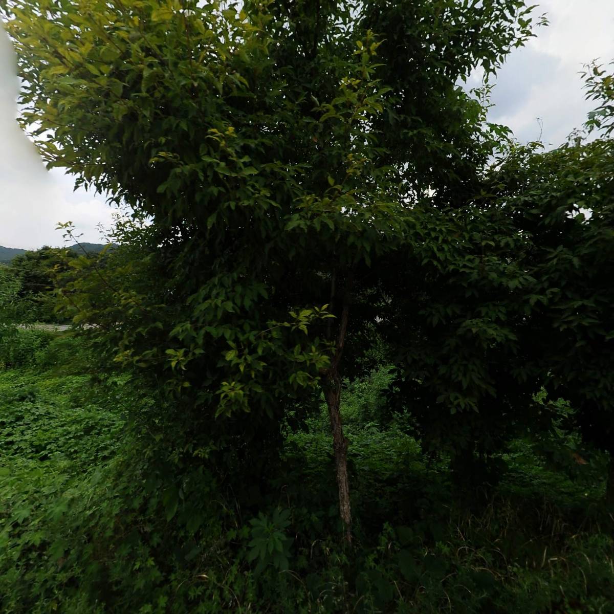 (주)영신물산_3