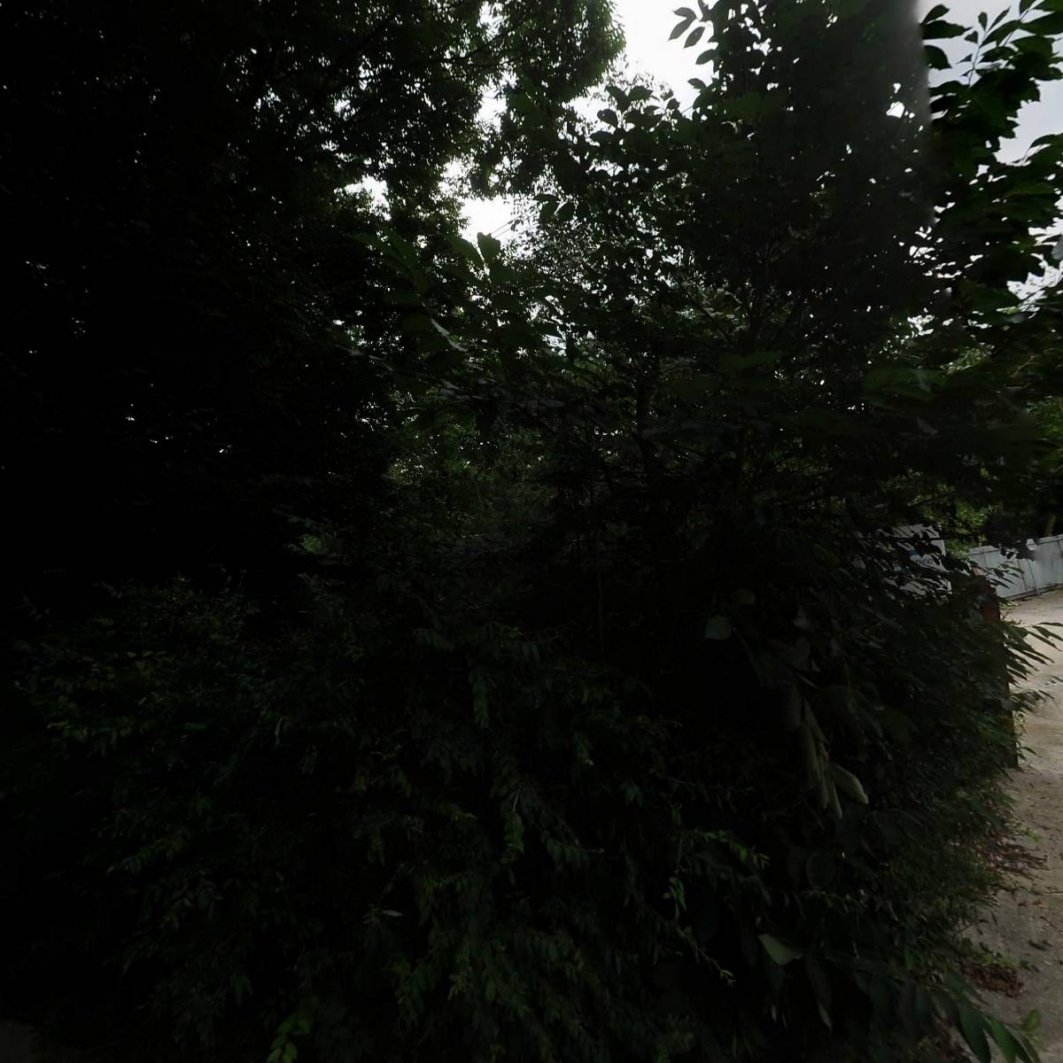 늘사랑교회