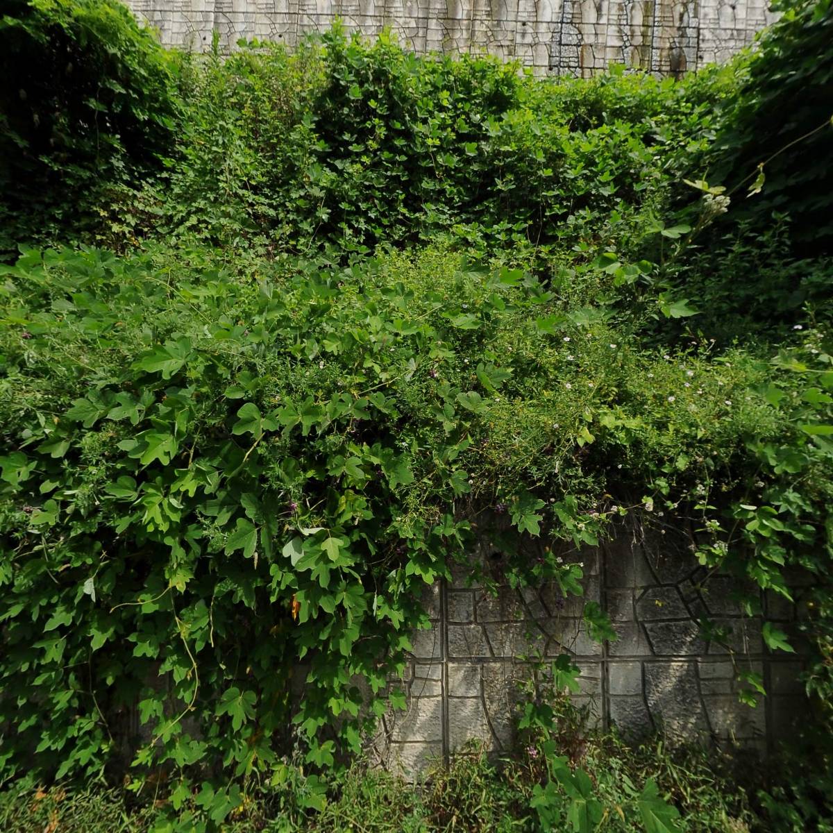 교산강업_3