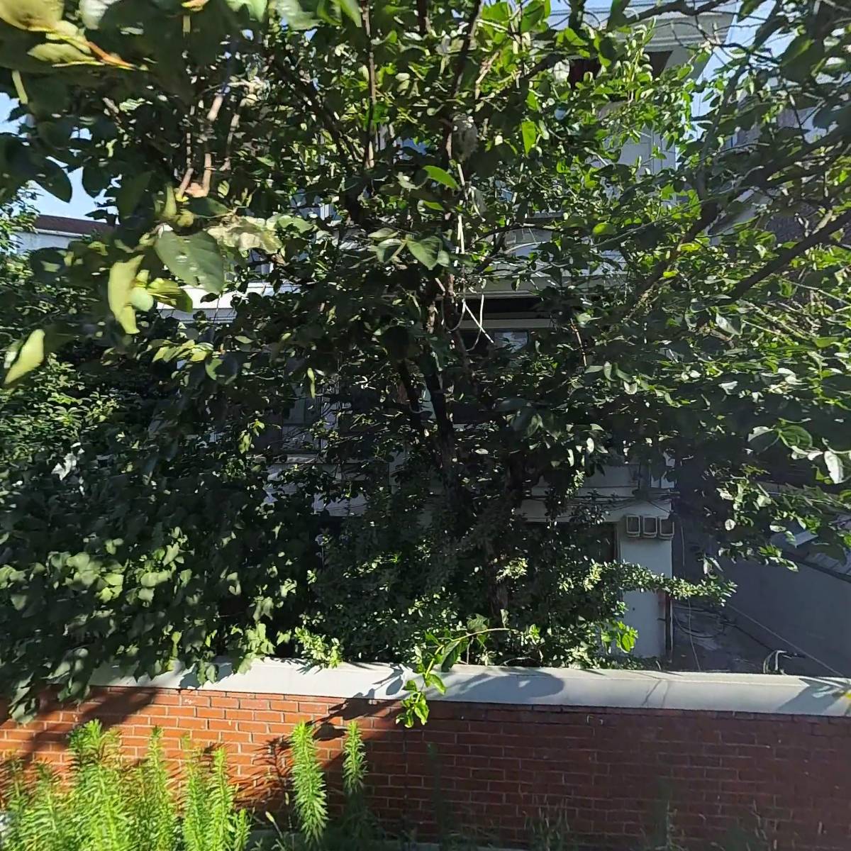 주식회사삼원컬렉션_3