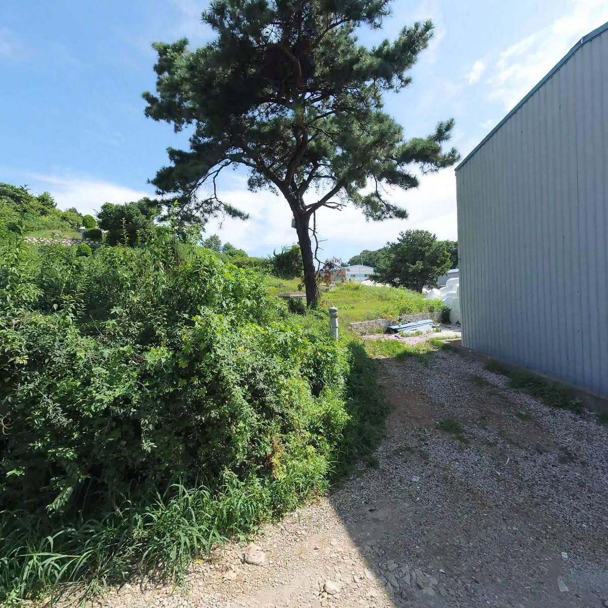 세창이피에스(주)