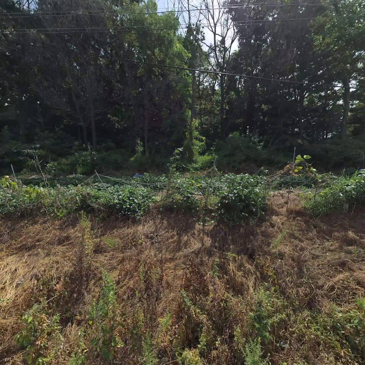 진성전자_3
