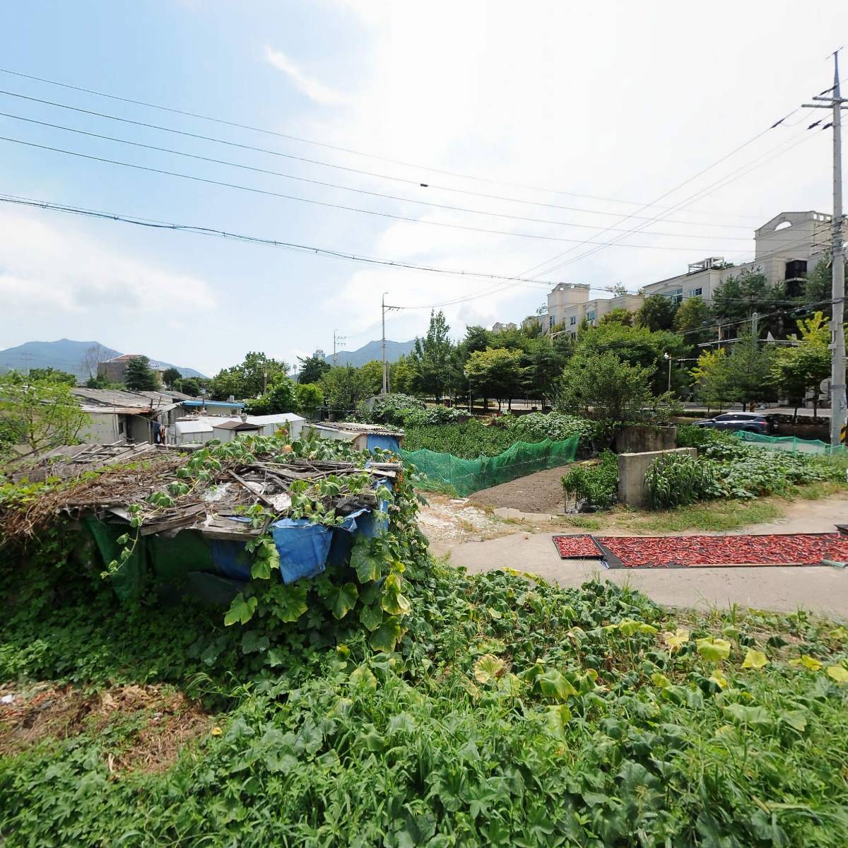 어무이맛 양평해장국 하남점