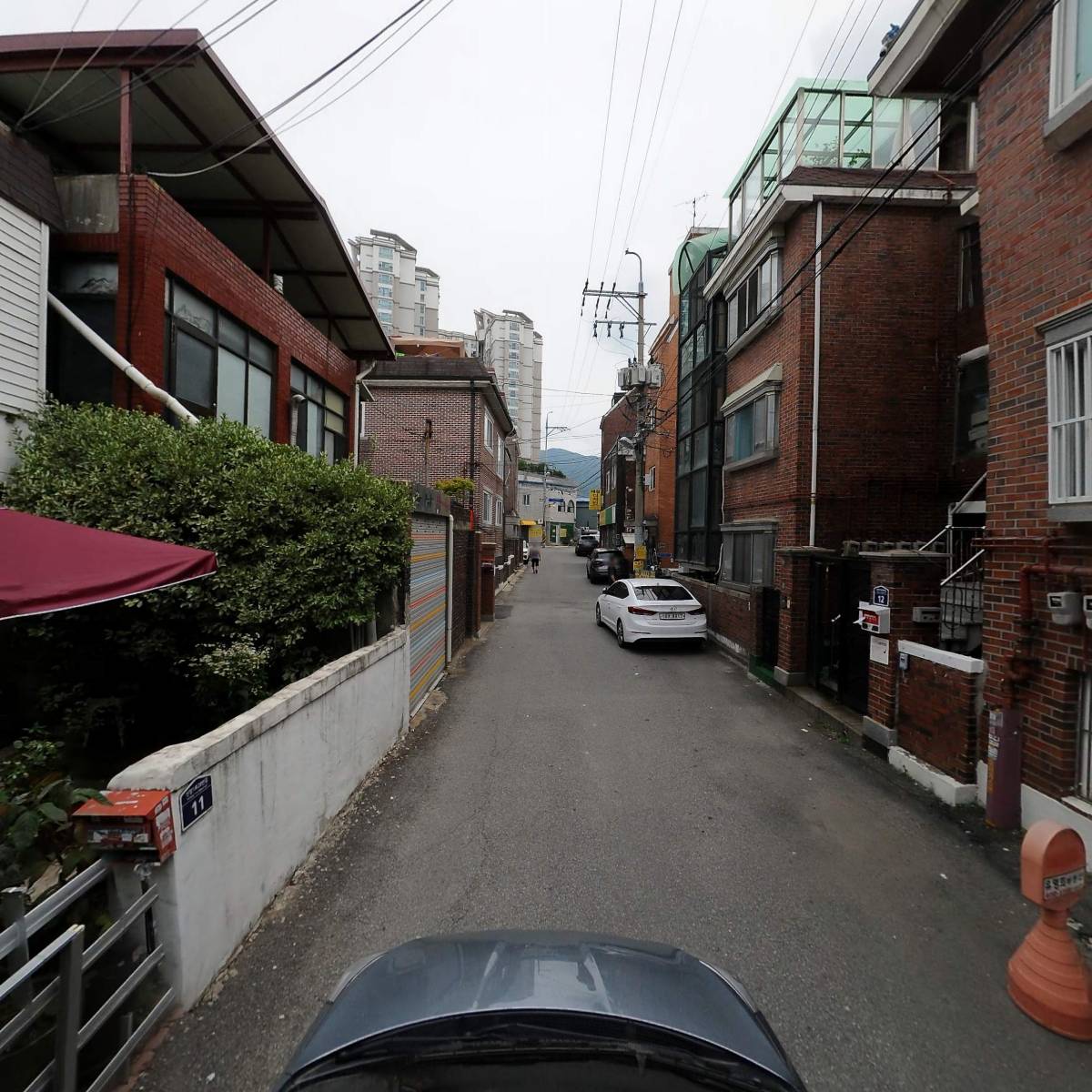 들꽃인셀덤_4