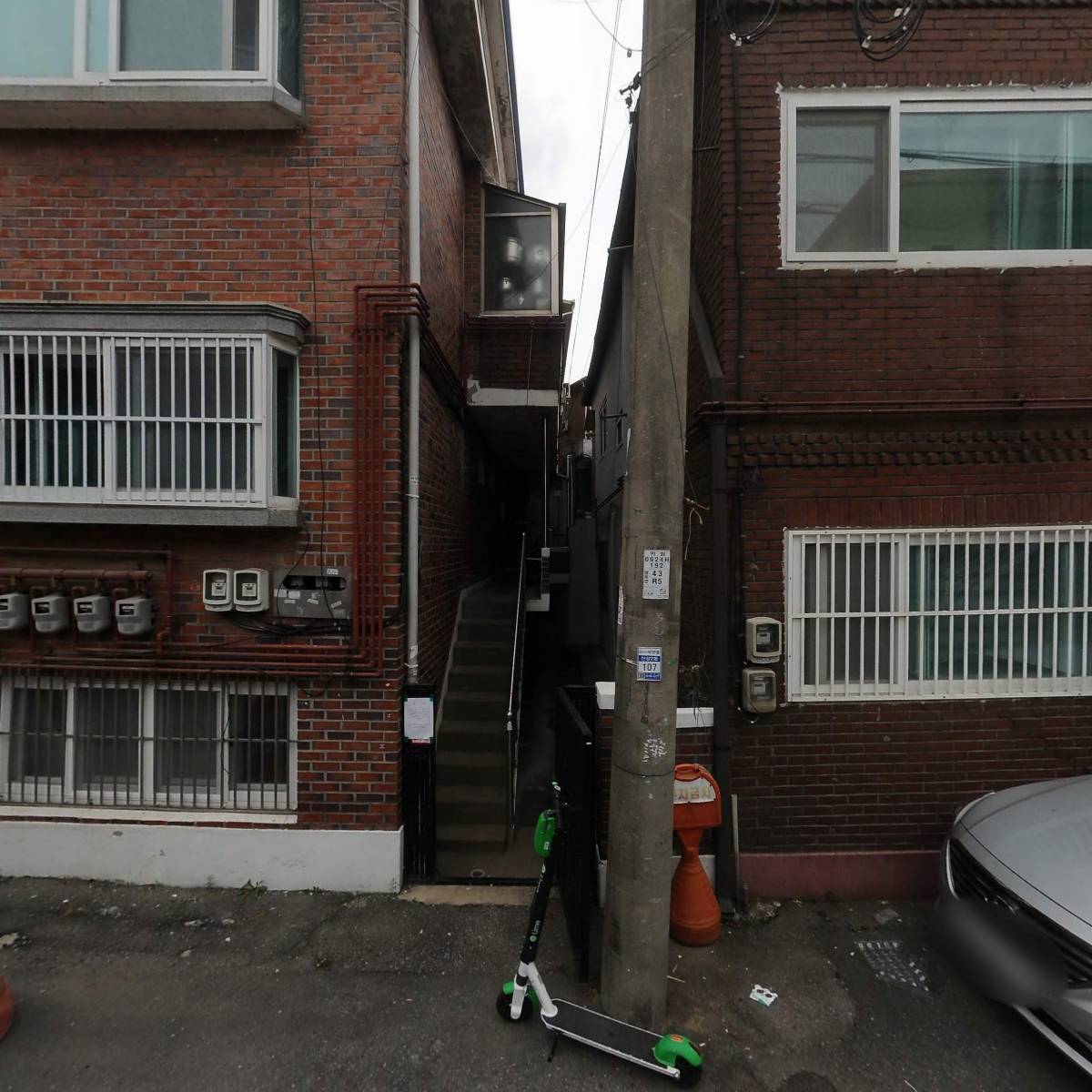 들꽃인셀덤