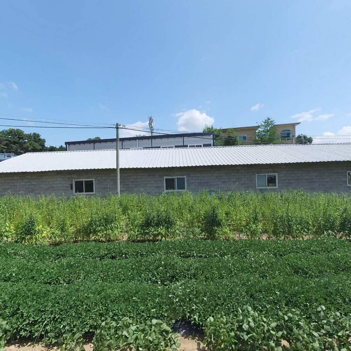 （주）세왕하이텍