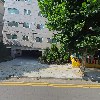 새순교회