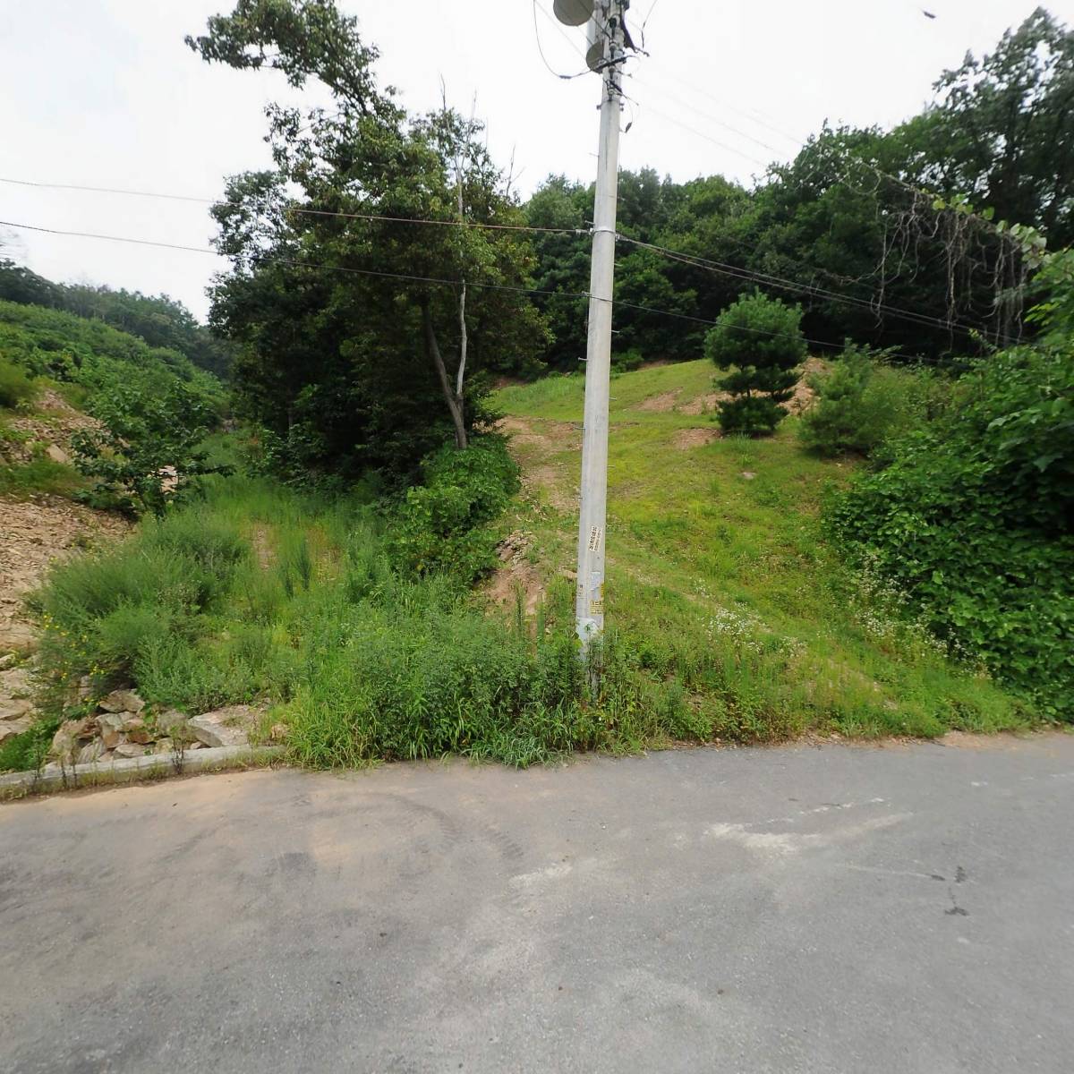 성신유직_3