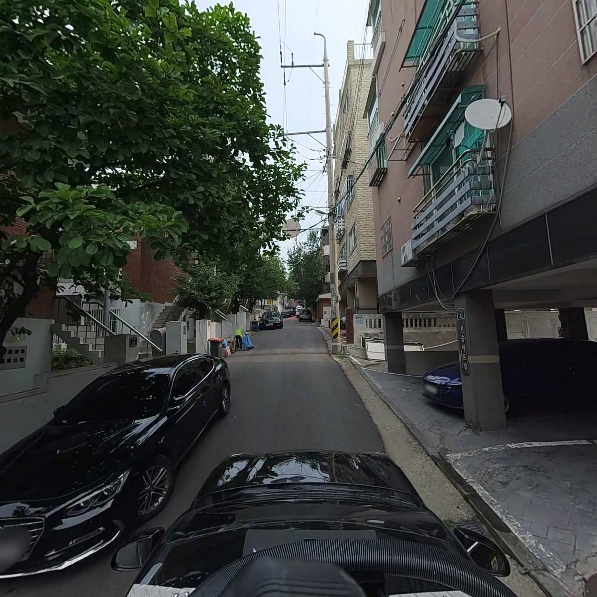 국대덕배_4