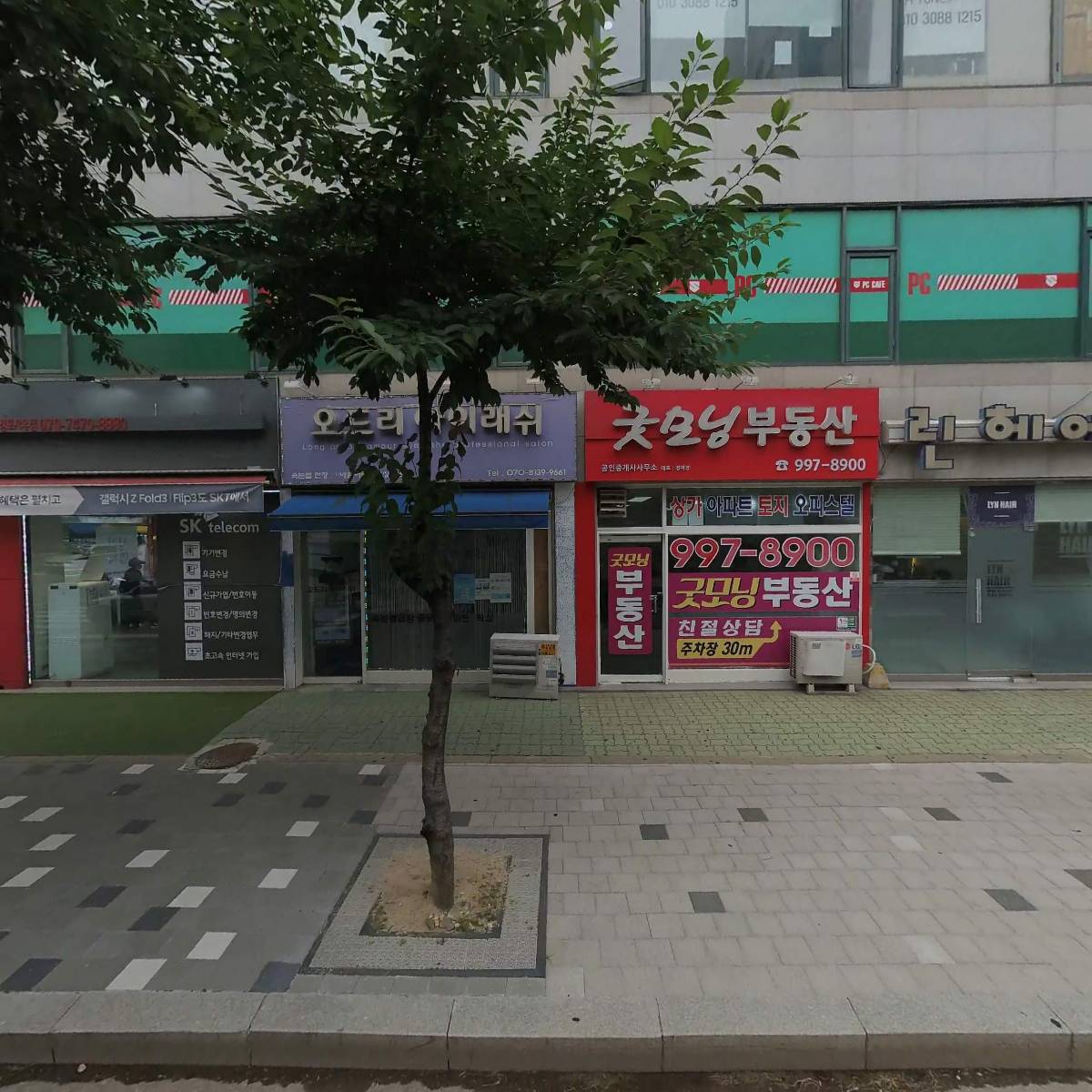 채미숙논술국어 사우동 학원