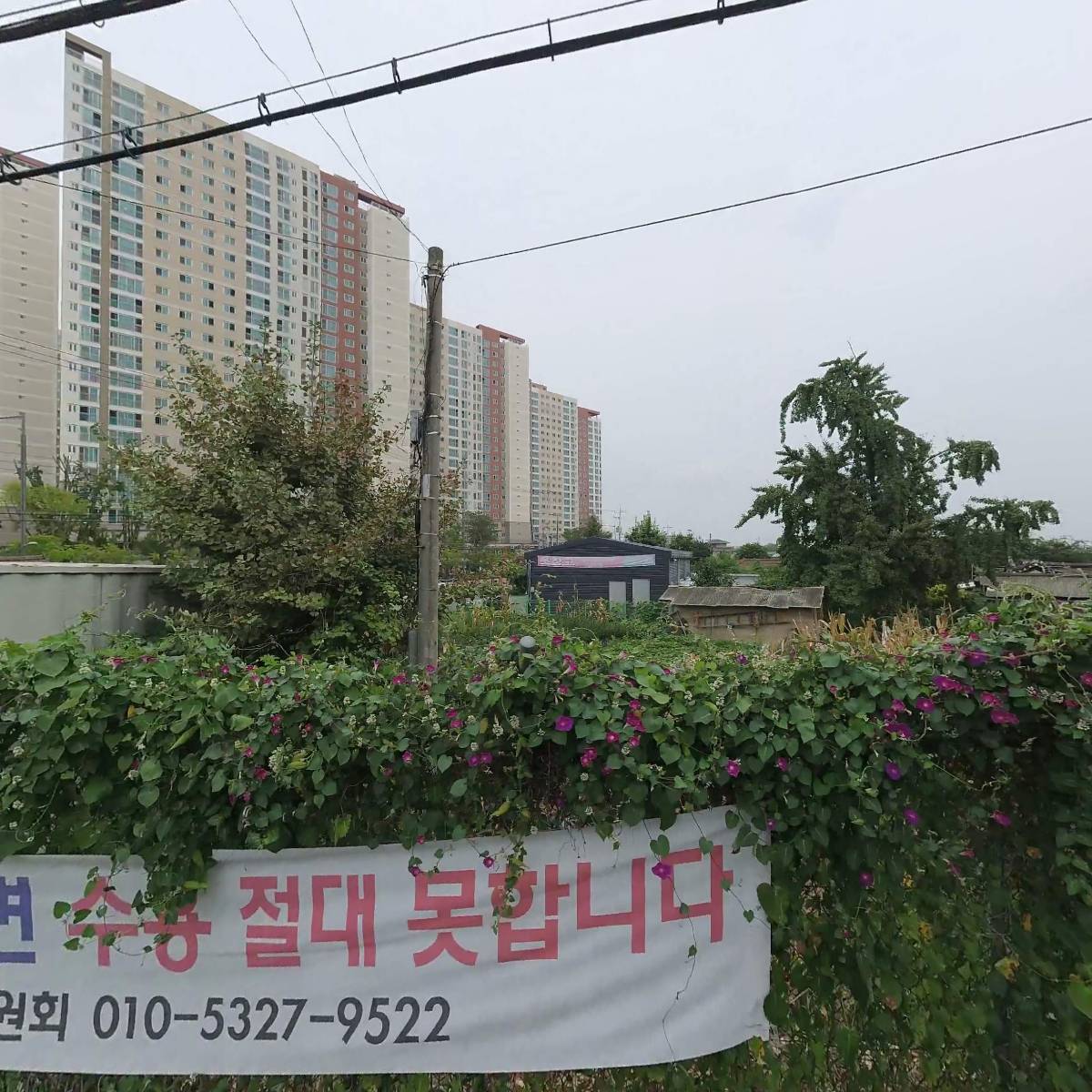 족보있는국밥김포대로점