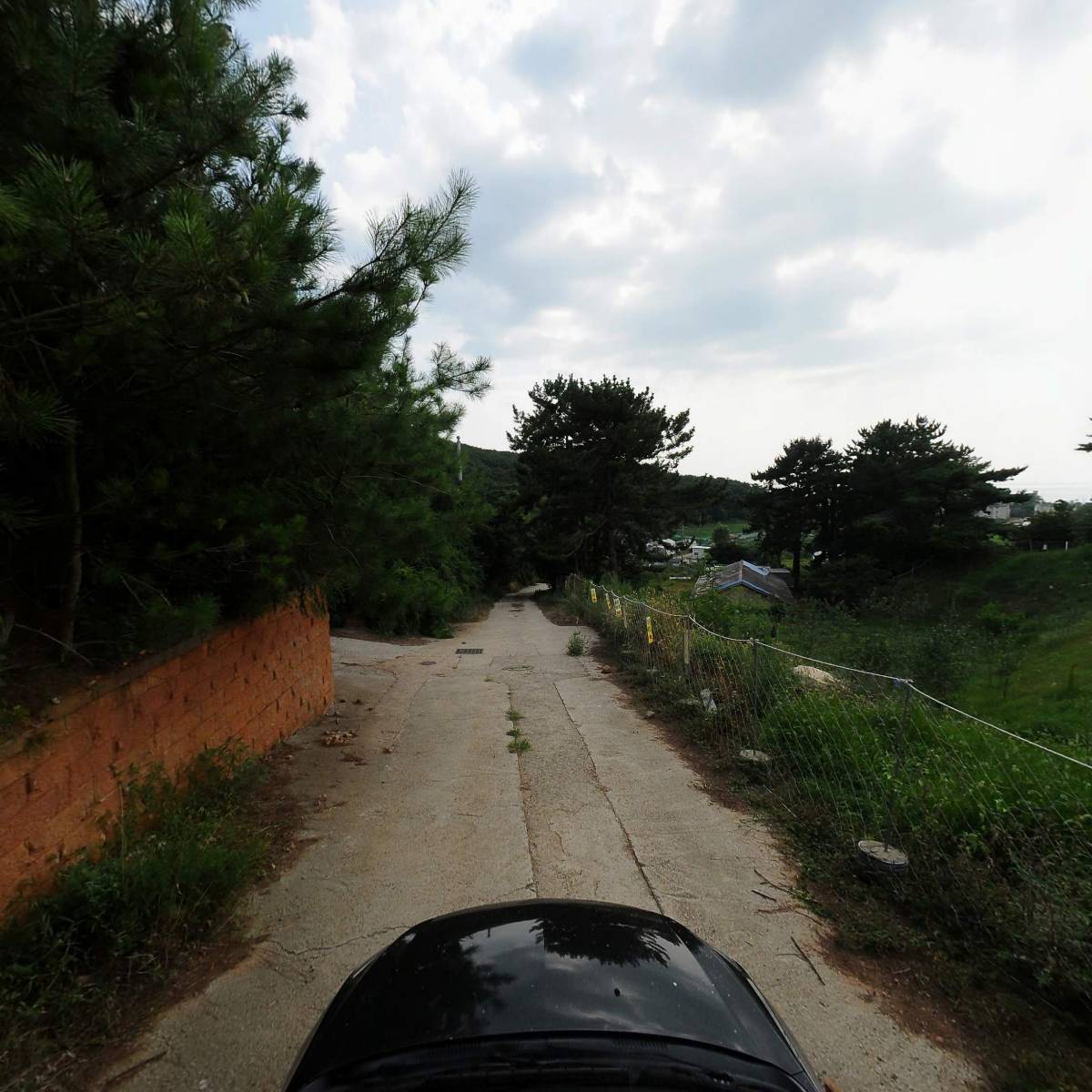 제부애니멀카페 앤 펜션_4