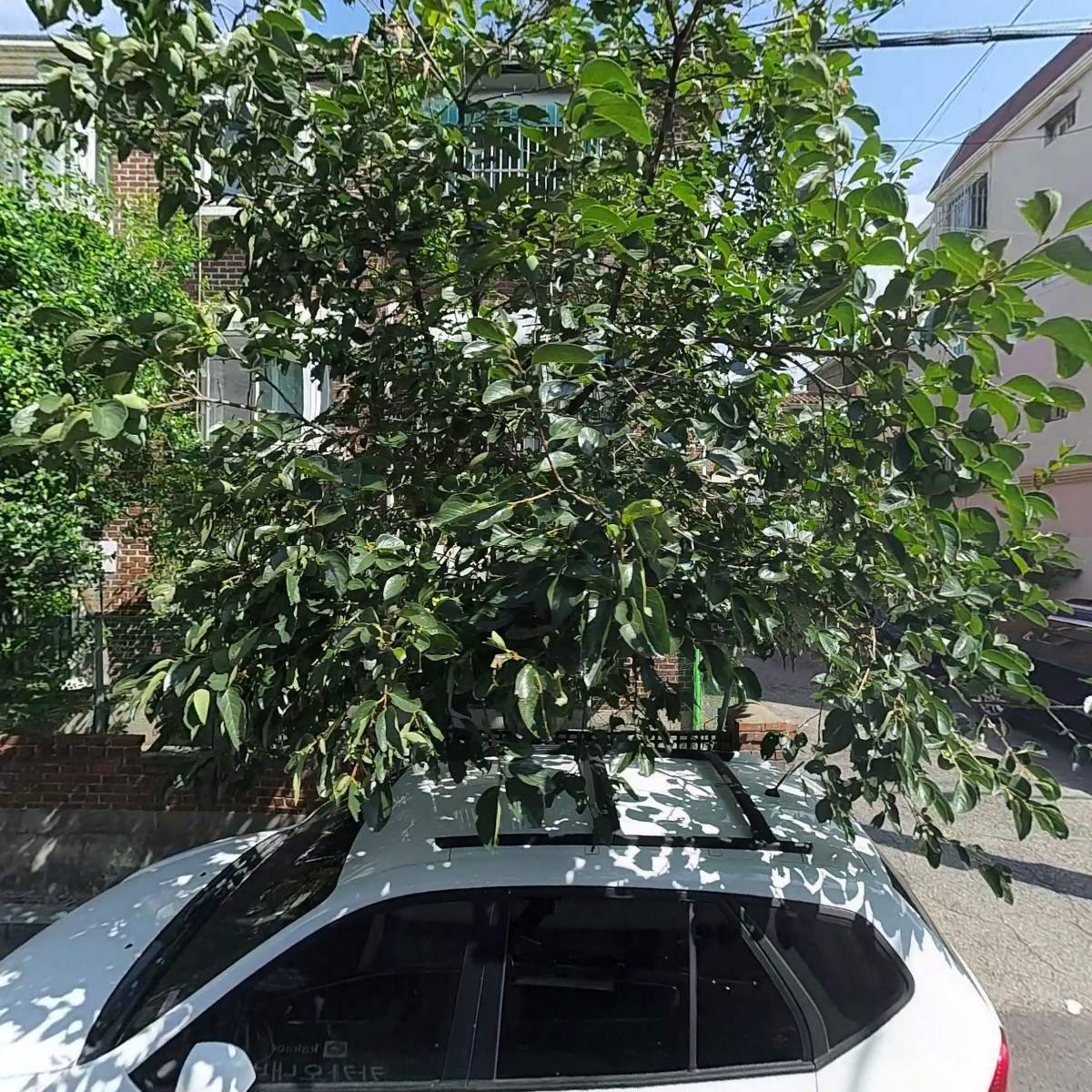 천행사