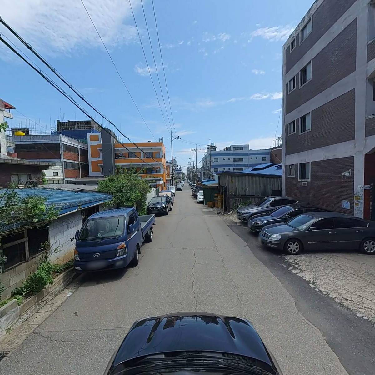 카시스_4