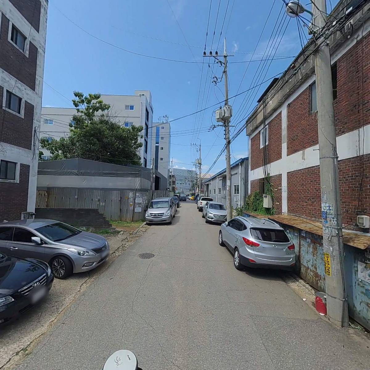 카시스_2