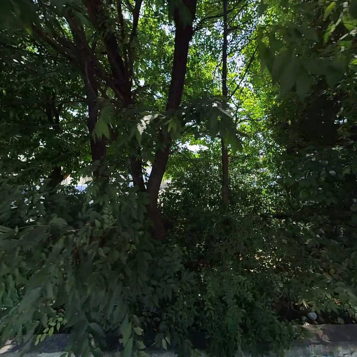 엠디오홈마트_3