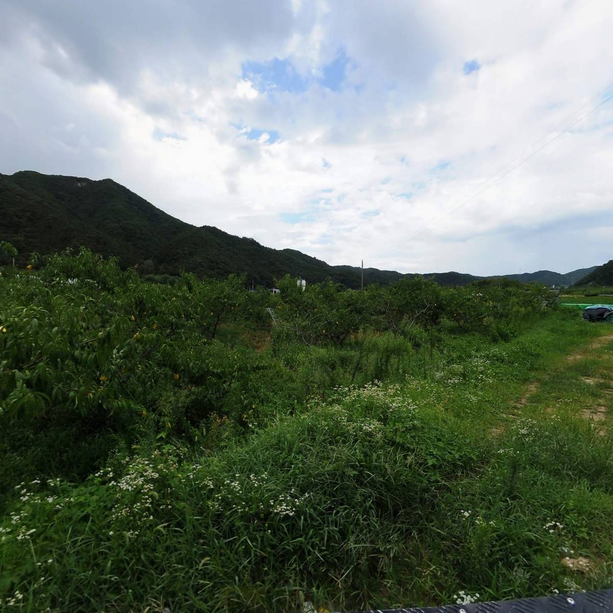 유한회사 밀의온도_3