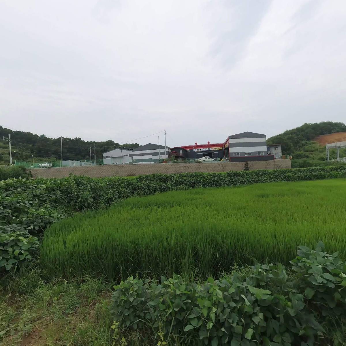 주식회사 비츠웰_3