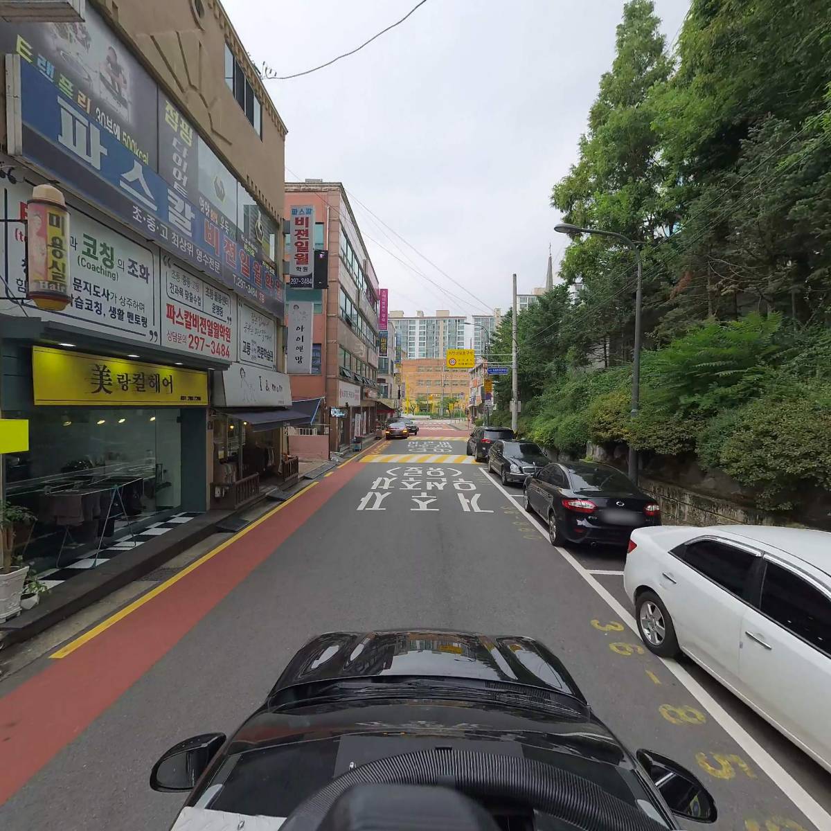 일월청과야채_4