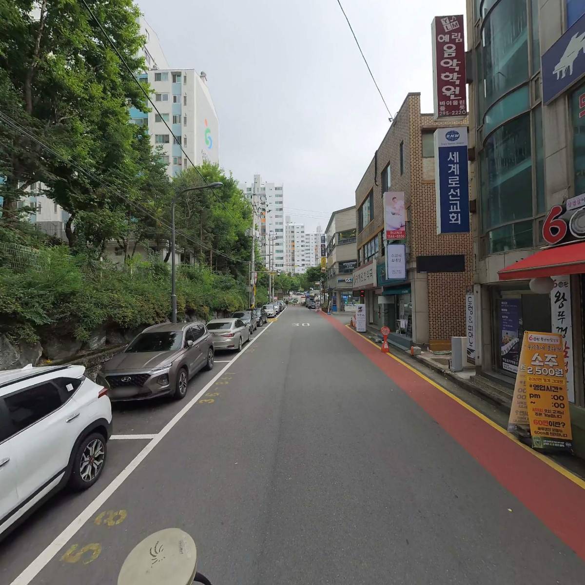 일월청과야채_2