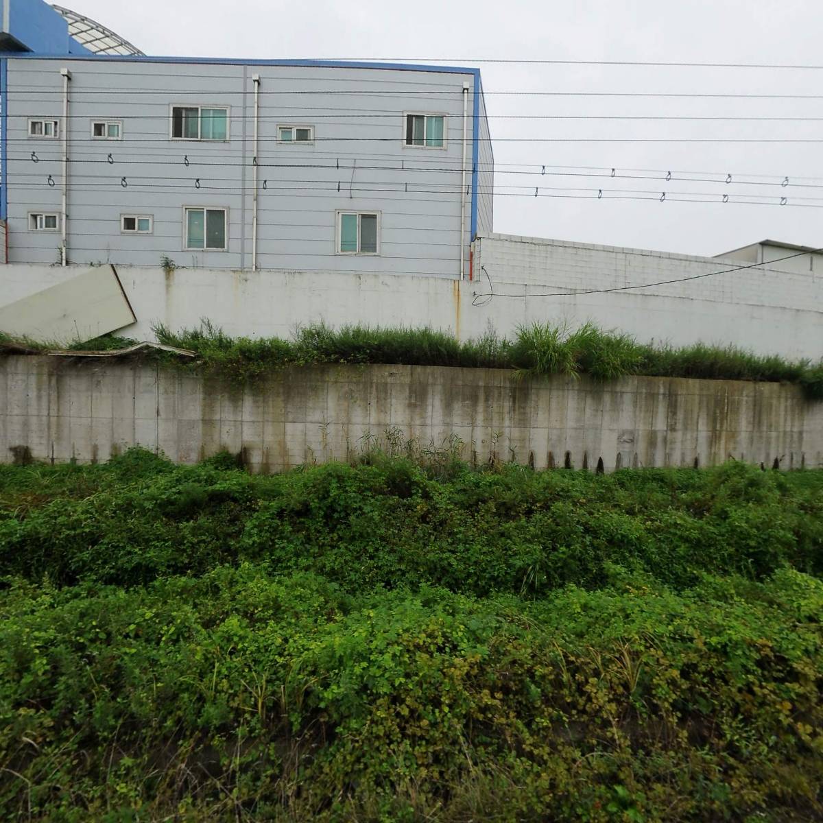 주식회사 청기와